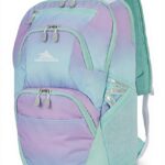 Sac à dos High Sierra Swoop Sg Violet ombré bleu ordinateur